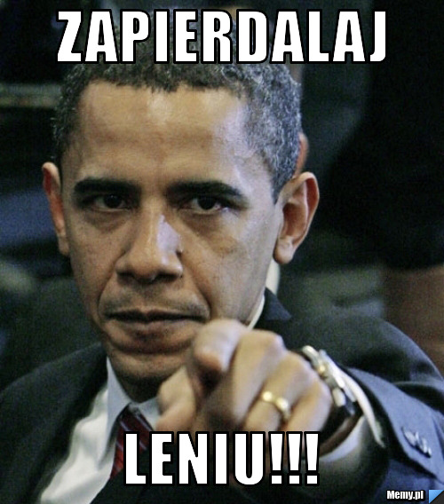 Zapierdalaj leniu!!!
