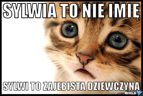 Sylwia to nie imię Sylwi to Zajebista dziewczyna