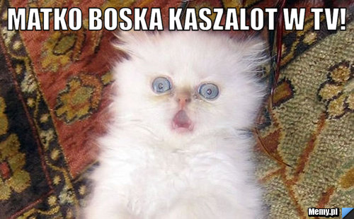 Matko boska kaszalot w TV! 
