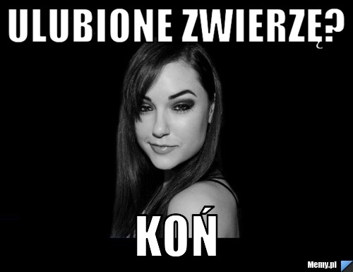 ULUBIONE ZWIERZĘ? KOŃ