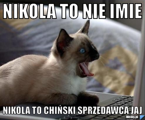Nikola to nie imie nikola to chiński sprzedawca jaj