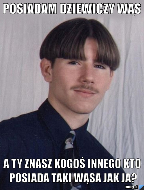 Posiadam dziewiczy wąs a ty znasz kogoś innego kto posiada taki wąsa jak ja?