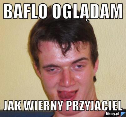 Baflo oglądam jak wierny przyjaciel