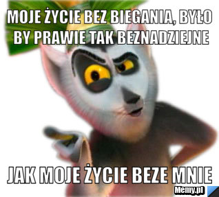 MOJE ŻYCIE BEZ BIEGANIA, BYŁO BY PRAWIE TAK BEZNADZIEJNE JAK MOJE ŻYCIE BEZE MNIE