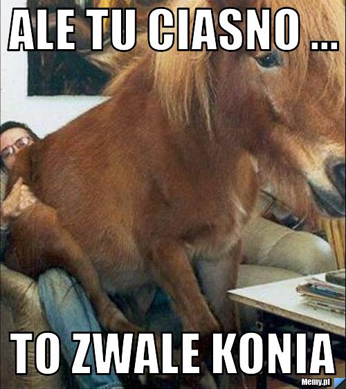 ALE TU CIASNO ... TO ZWALE KONIA