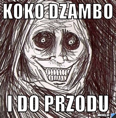 Koko dzambo i do przodu