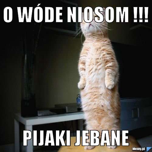 O wóde niosom !!! pijaki jebane 