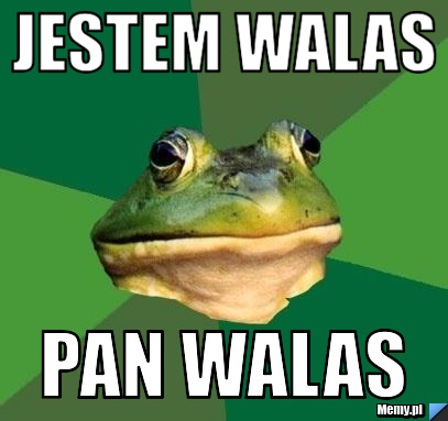 Jestem WALAS Pan walas