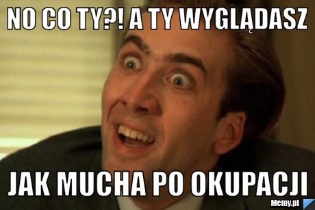 NO CO TY?! A TY WYGLĄDASZ JAK MUCHA PO OKUPACJI