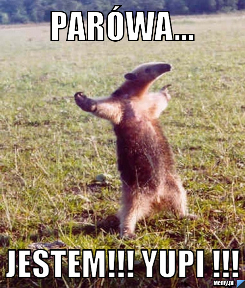 Parówa... jestem!!! yupi !!!