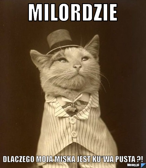 Milordzie  dlaczego moja miska jest ku*wa pusta ?!
