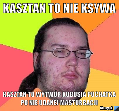 Kasztan to nie ksywa  kasztan to wytwór kubusia puchatka po nie udanej masturbacji 