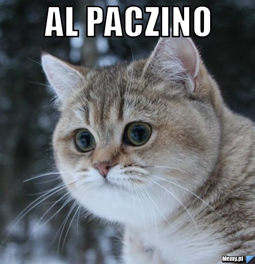 Al paczino 