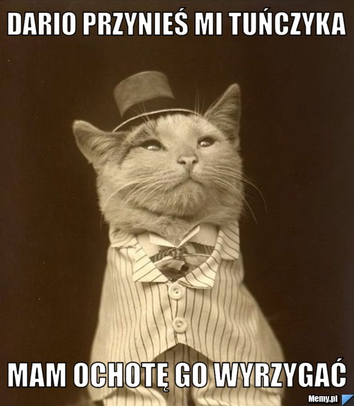 Dario przynieś mi tuńczyka mam ochotę go wyrzygać