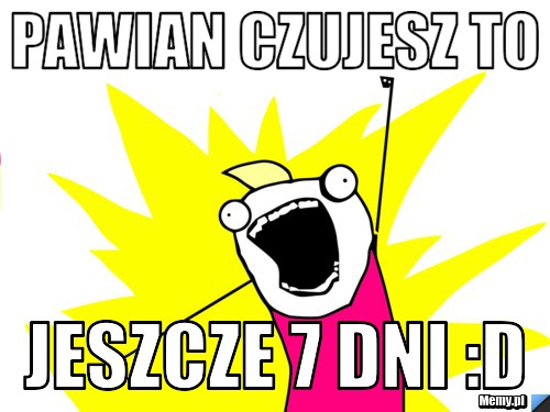 Pawian czujesz to  Jeszcze 7 DNI :D