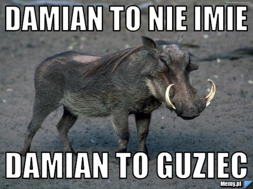 Damian to nie imie damian to guziec