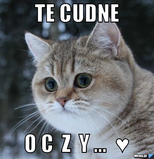 Te cudne O C  Z  Y ...  ♥ 