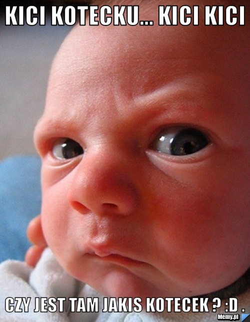 Kici kotecku... kici kici czy jest tam jakis kotecek ? :D .