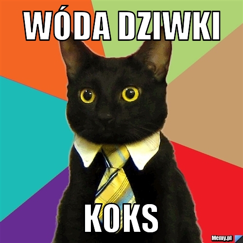 Wóda dziwki  koks
