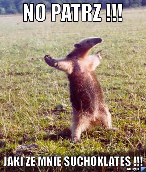 No patrz !!! jaki ze mnie suchoklates !!!