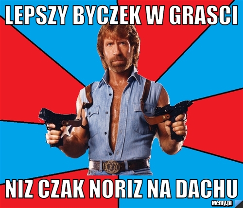 Lepszy byczek w grasci niz czak noriz na dachu