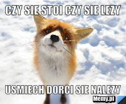 Czy sie stoi czy sie lezy usmiech dorci sie nalezy