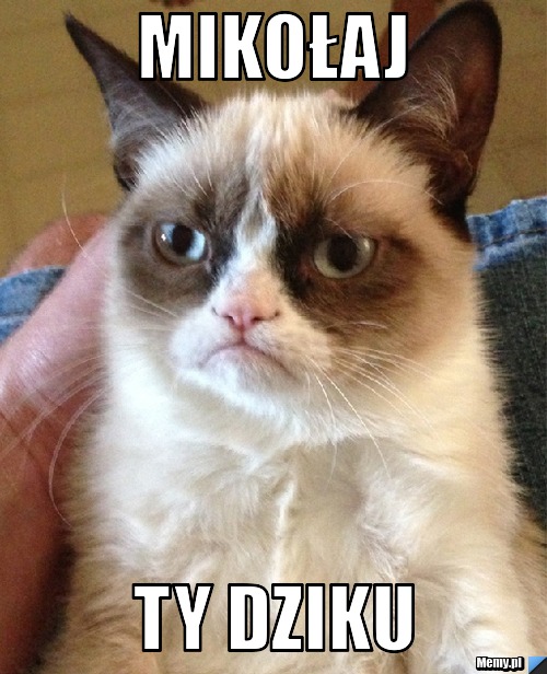 Mikołaj Ty DZIKU