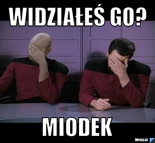 Widziałeś go? Miodek