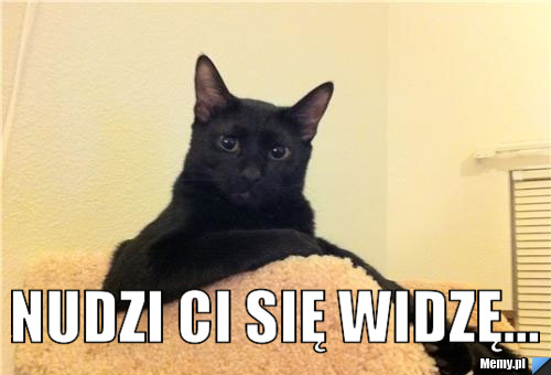  Nudzi ci się widzę...