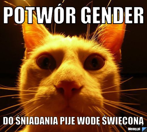 https://i1.memy.pl/obrazki/a24e857721_potwor_gender.jpg