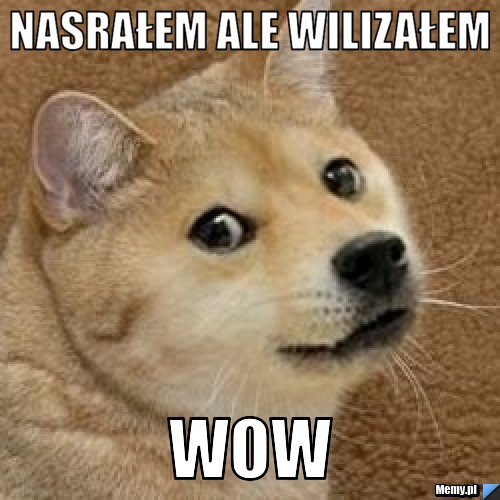 Nasrałem ale wilizałem   wow