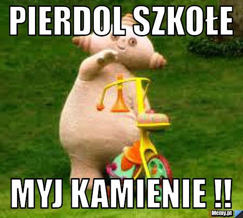 Pierdol Szkołe Myj Kamienie !!