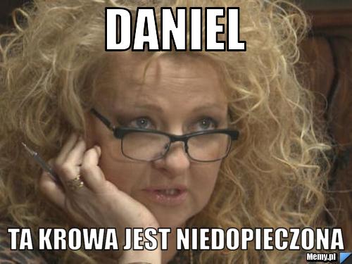 Daniel  ta krowa jest niedopieczona 