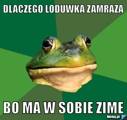 Dlaczego loduwka zamraża  bo ma w sobie zime