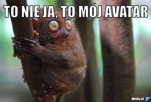 To nie ja, to mój avatar 