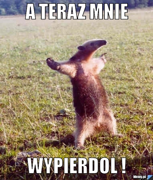 A TERAZ MNIE  WYPIERDOL ! 