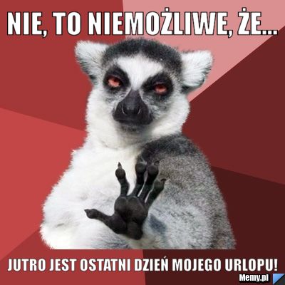 Nie, to niemożliwe, że... jutro jest ostatni dzień mojego urlopu!