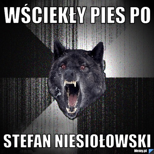 Wściekły pies po stefan niesiołowski