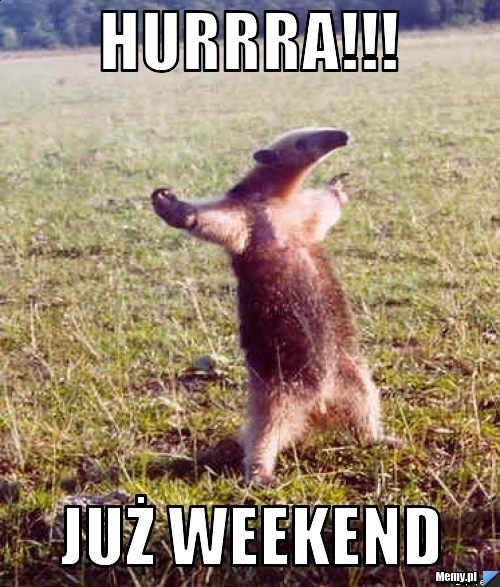 Hurrra!!! już weekend