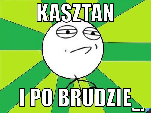 Kasztan i po brudzie