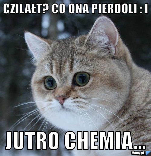 CZILAŁT? CO ONA PIERDOLI : I JUTRO CHEMIA...