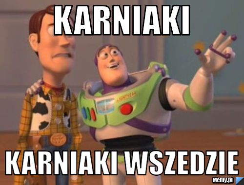 Karniaki karniaki wszedzie