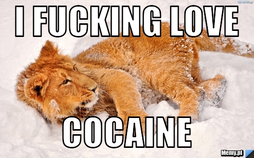 I FUCKING LOVE COCAINE