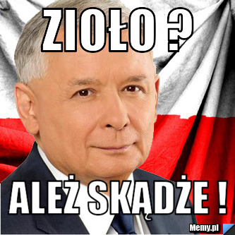 Zioło ? Ależ skądże !