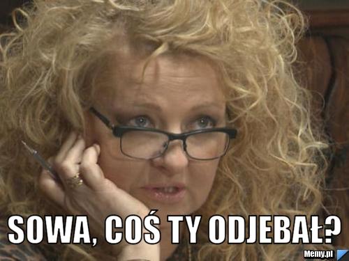  sowa, coś ty odjebał?