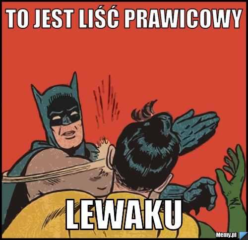 To jest liść prawicowy lewaku