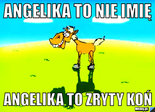 Angelika to nie imię Angelika to zryty koń 