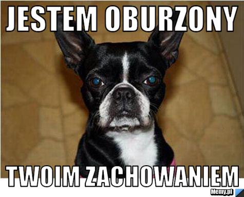 Jestem oburzony  twoim zachowaniem 