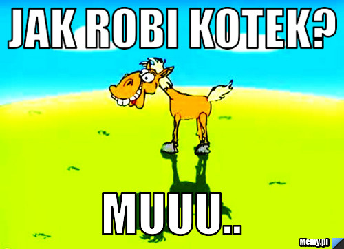 Jak Robi Kotek Muuu Memypl 2846