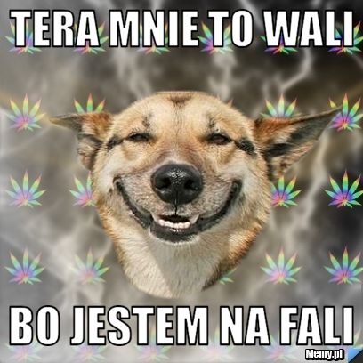 TERA mnie to wali Bo jestem na fali
